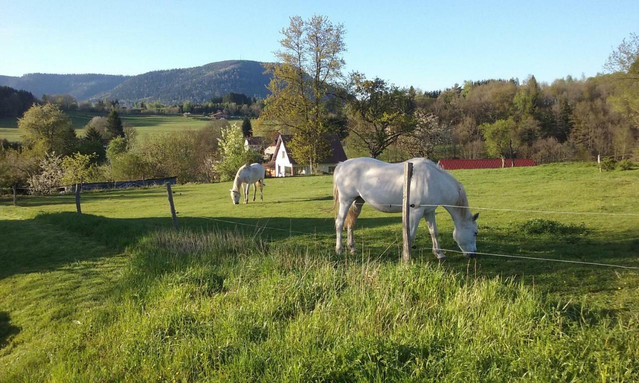 Du Gros Pommier Holiday home